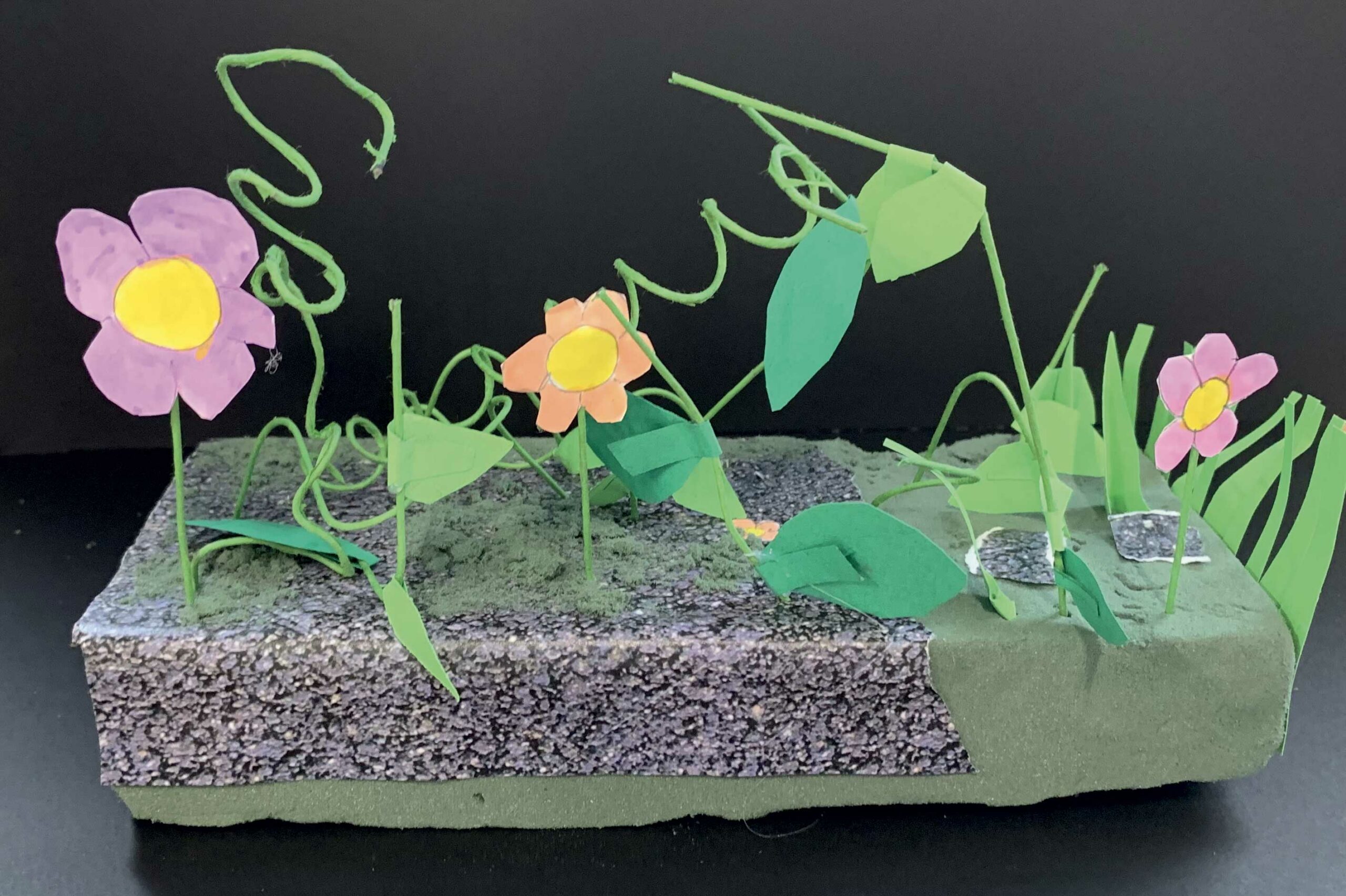 rc3-5-projet-nature-01-23-01